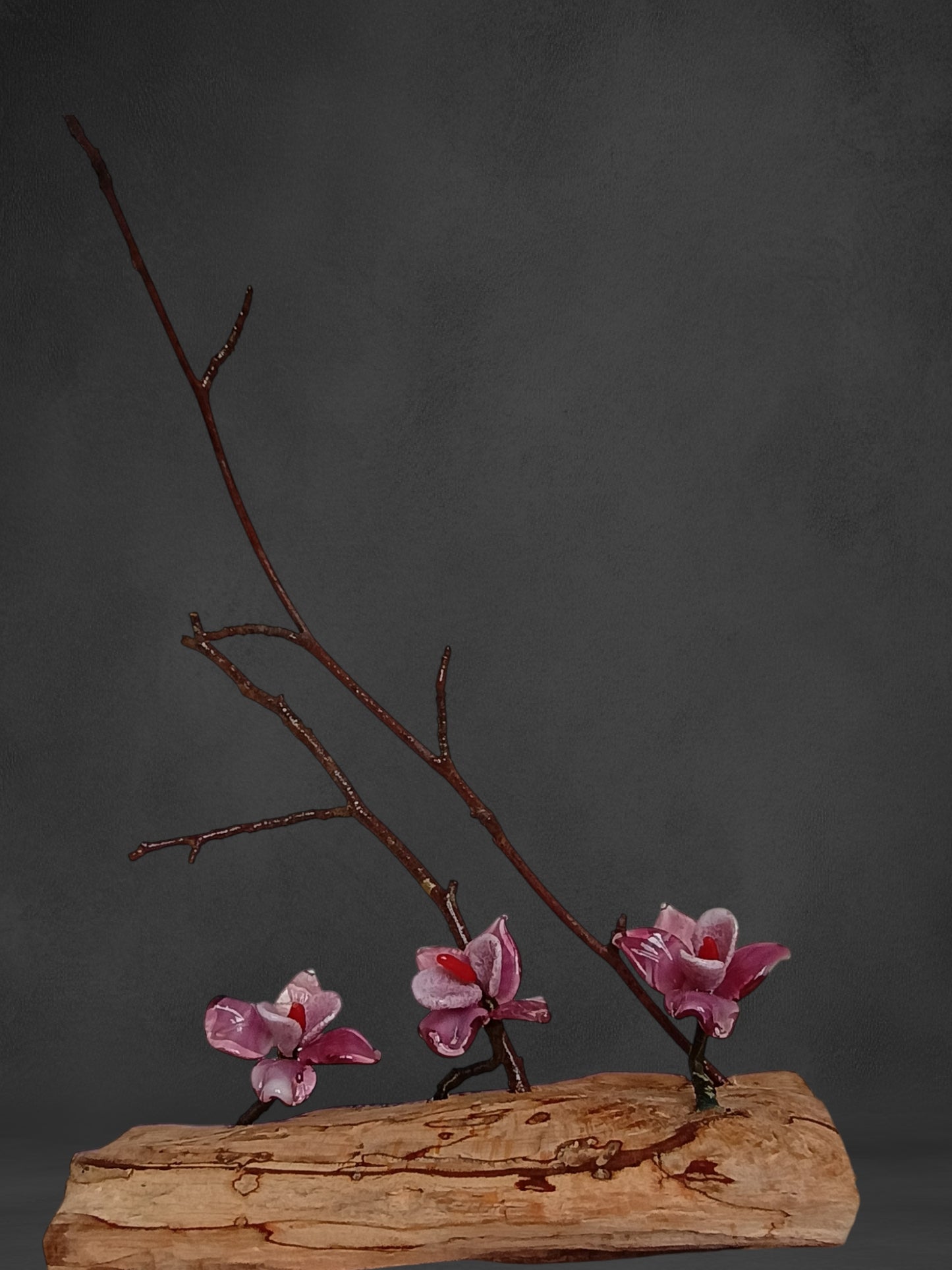 Fiori Di Orchidea Rosa