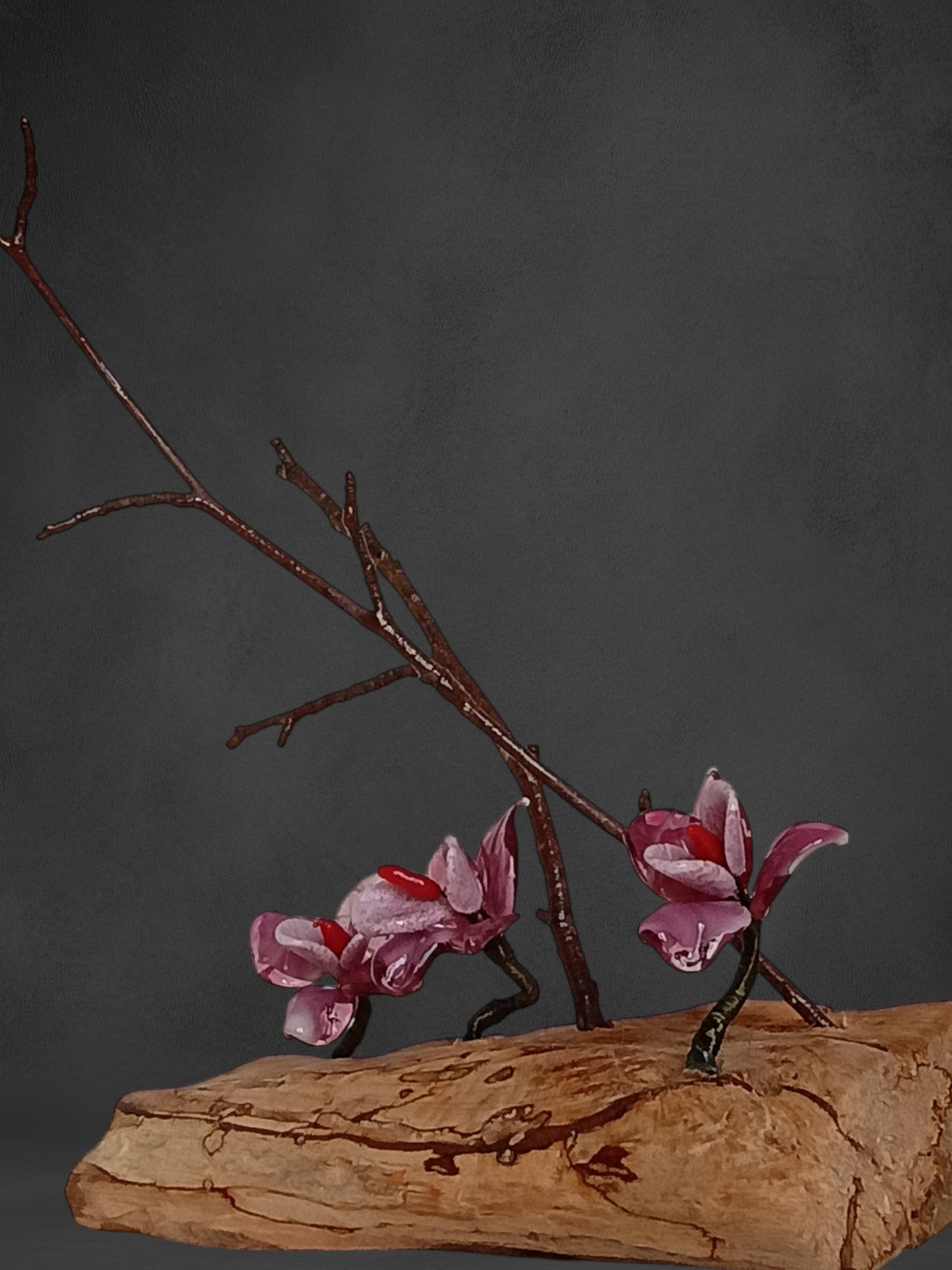 Fiori Di Orchidea Rosa