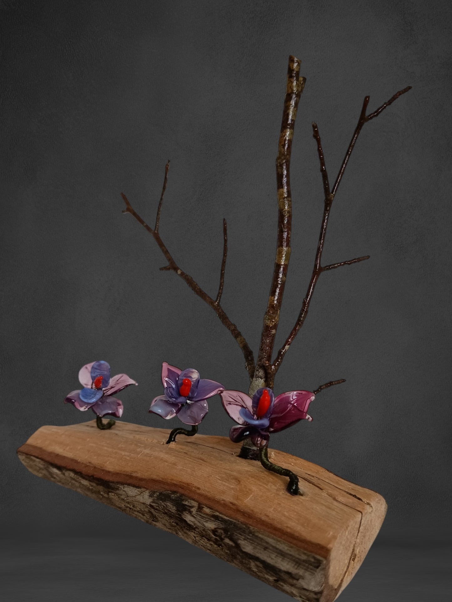 Fiori Di Orchidea Viola