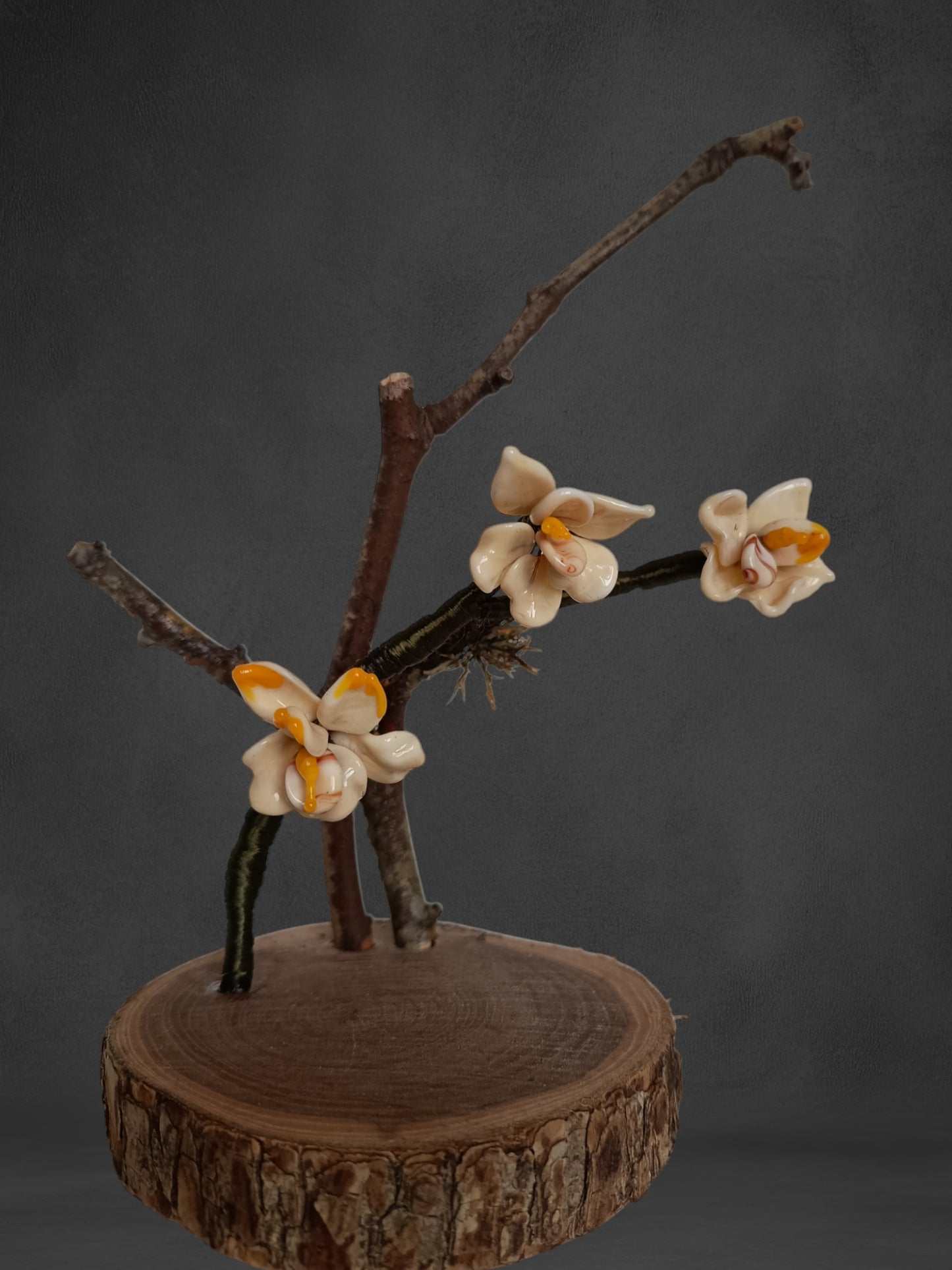 Ramo Di Orchidea Avorio