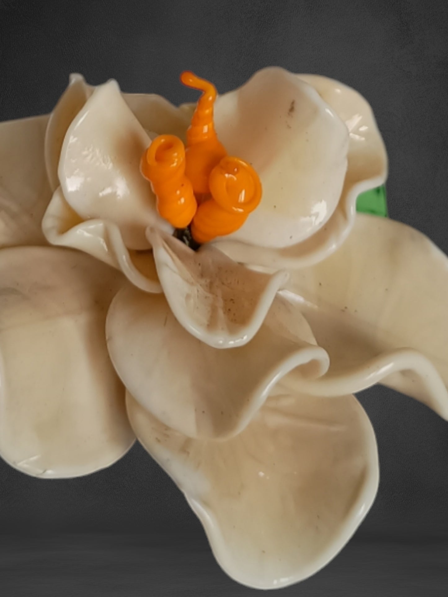 Fiore Di Gardenia Avorio