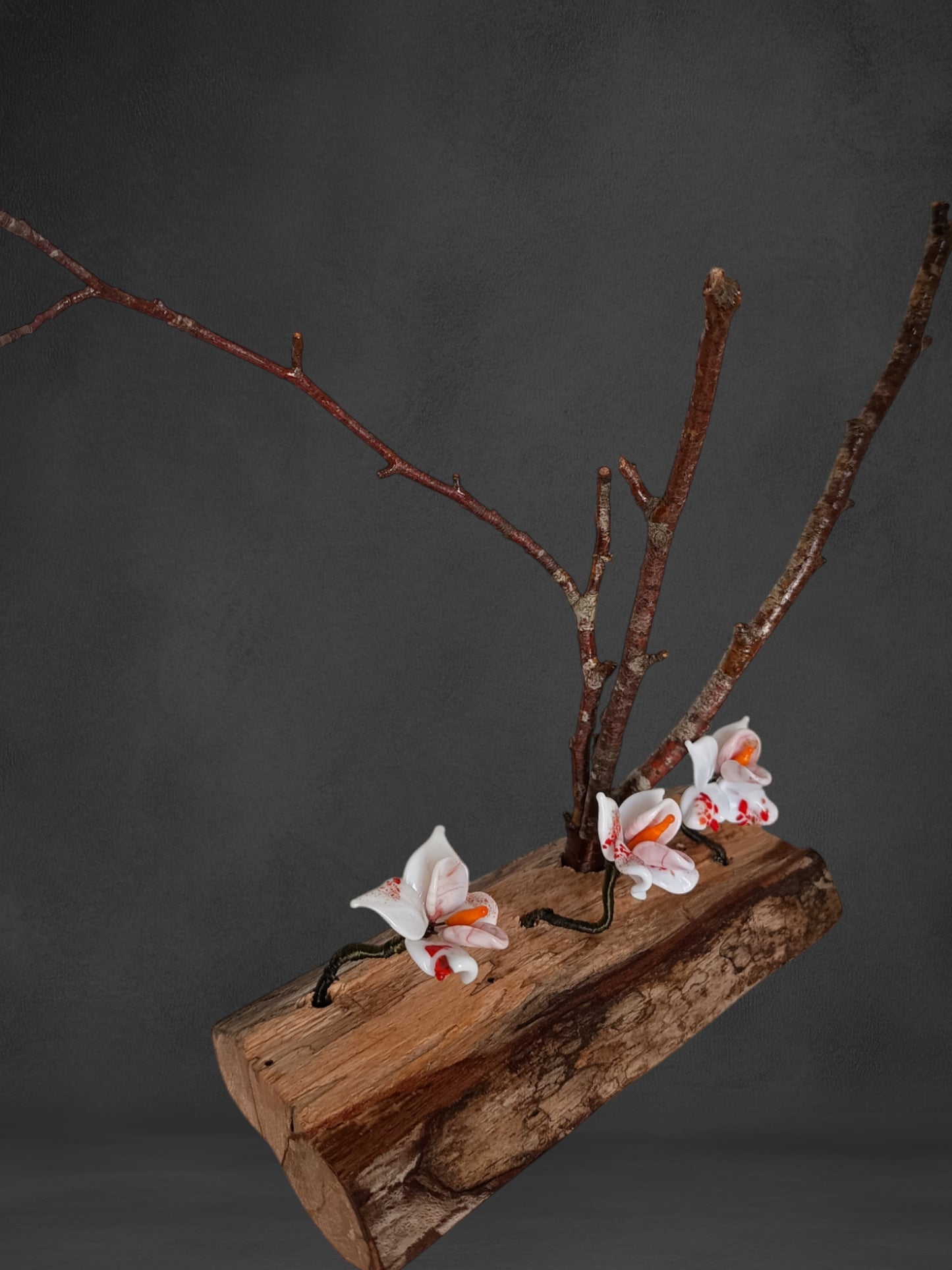 Fiori Di Orchidea Bianca