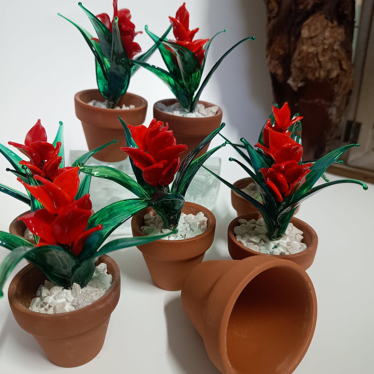 Piantina di Guzmania in vetro di Murano - MantoanMurano