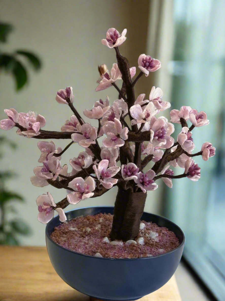 Bonsai di pesco