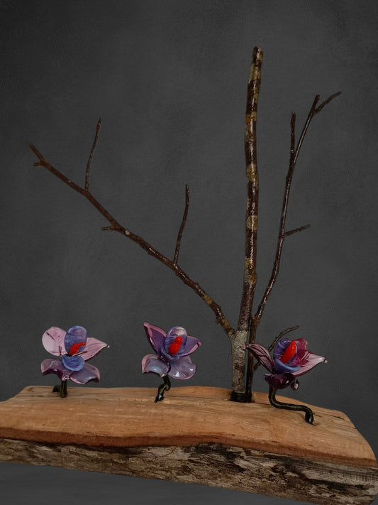 Fiori Di Orchidea Viola