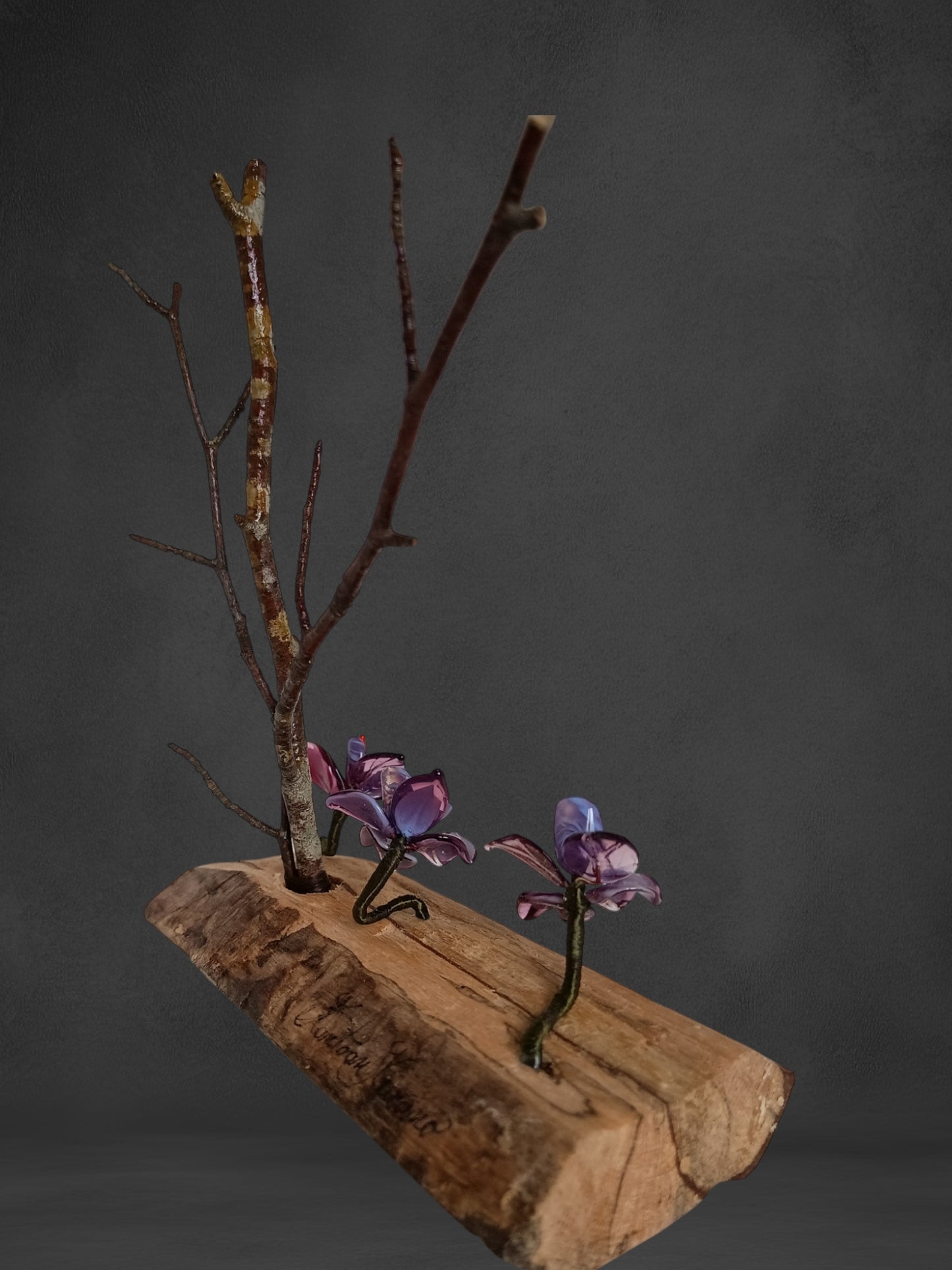 Fiori Di Orchidea Viola