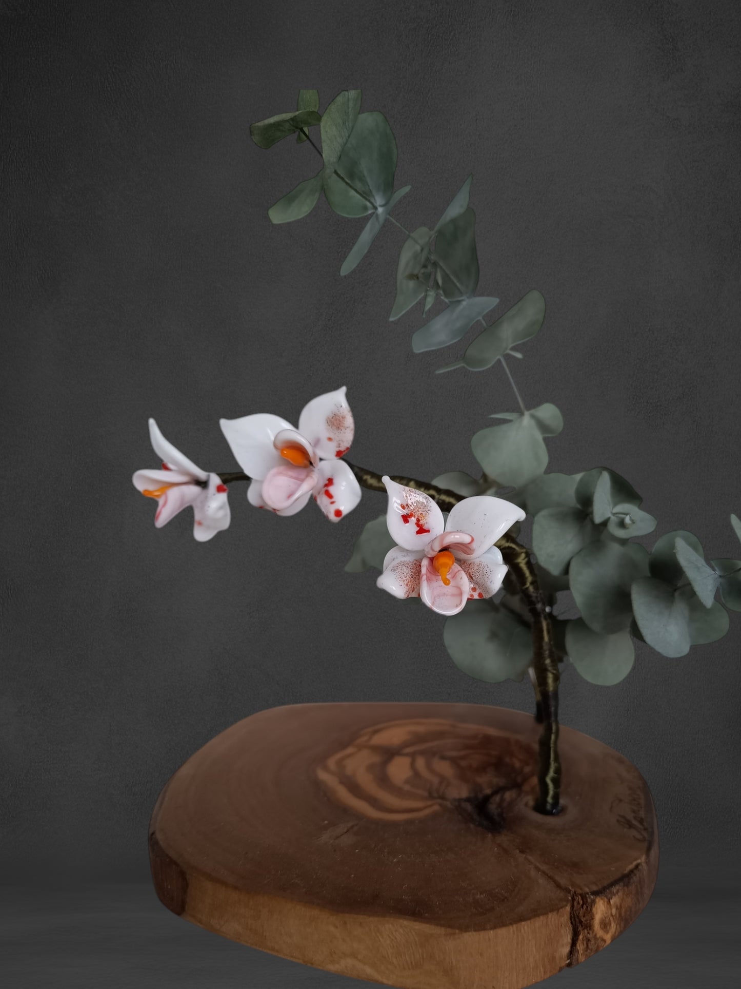 Ramo Di Orchidea Bianca