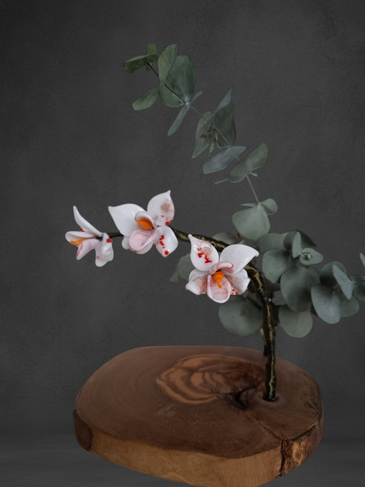 Ramo Di Orchidea Bianca