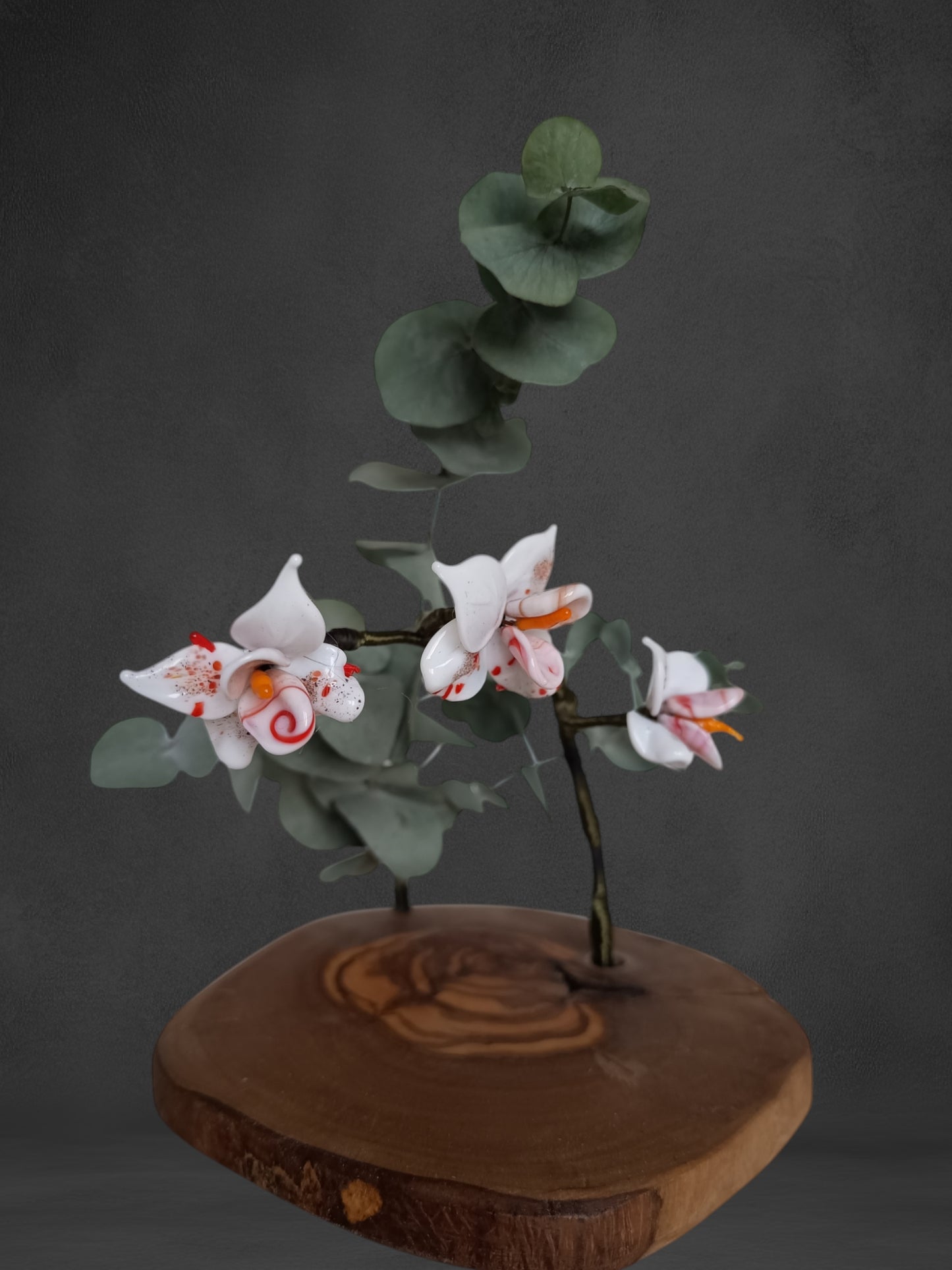 Ramo Di Orchidea Bianca