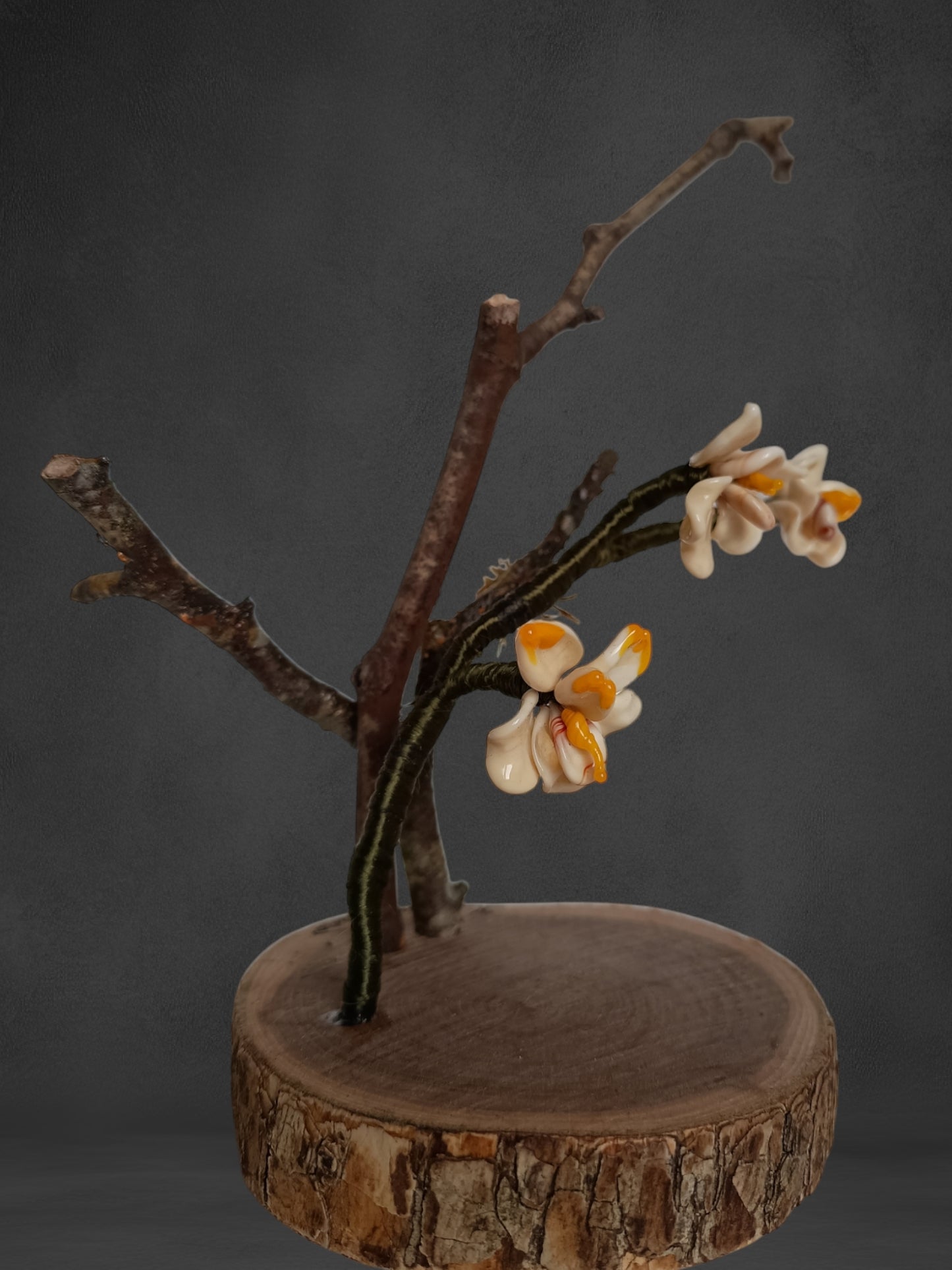 Ramo Di Orchidea Avorio