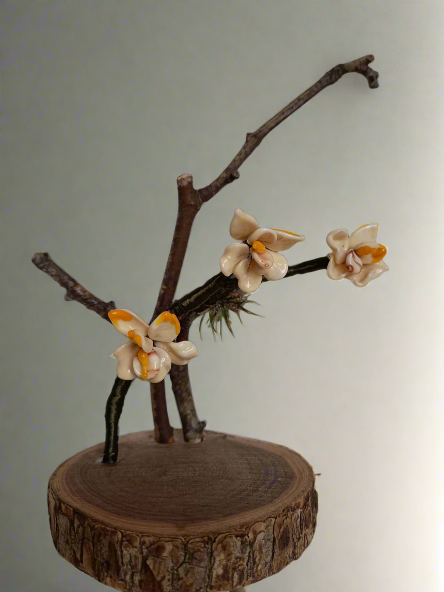 Ramo Di Orchidea Avorio