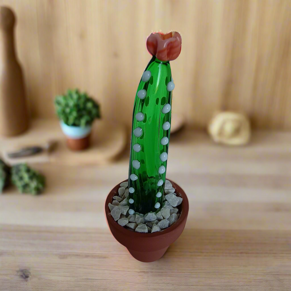 Cleistocactus
