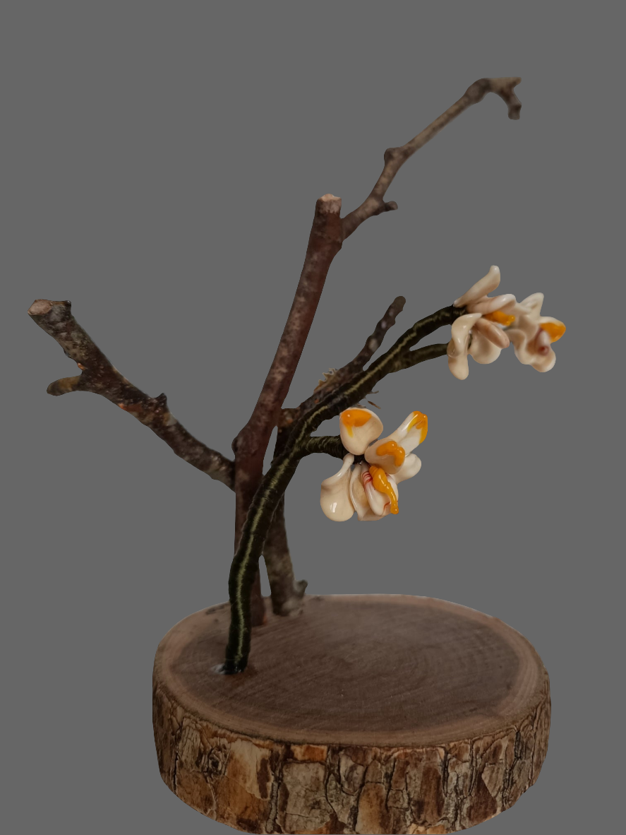 Ramo Di Orchidea Avorio