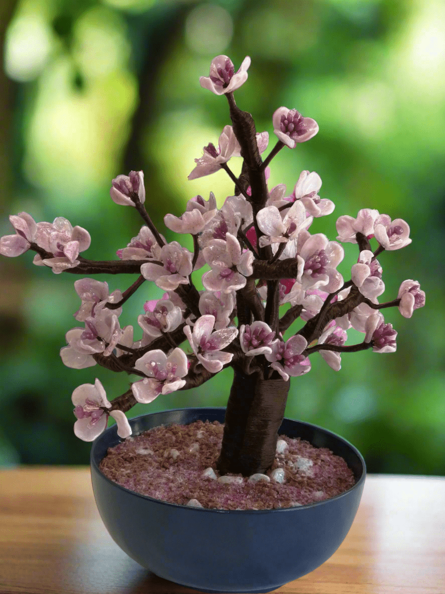 Bonsai di pesco - MantoanMurano