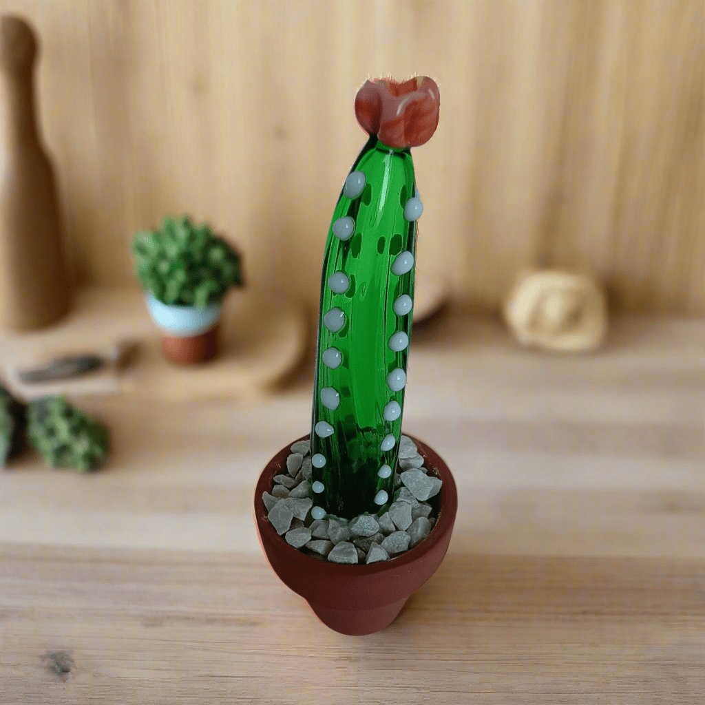 Cleistocactus - MantoanMurano