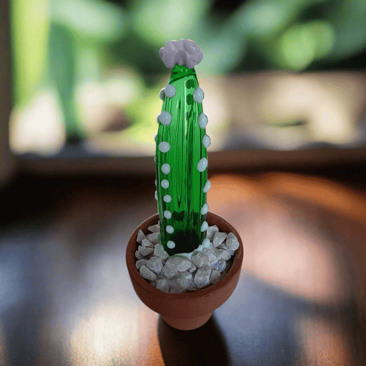 Cleistocactus - MantoanMurano