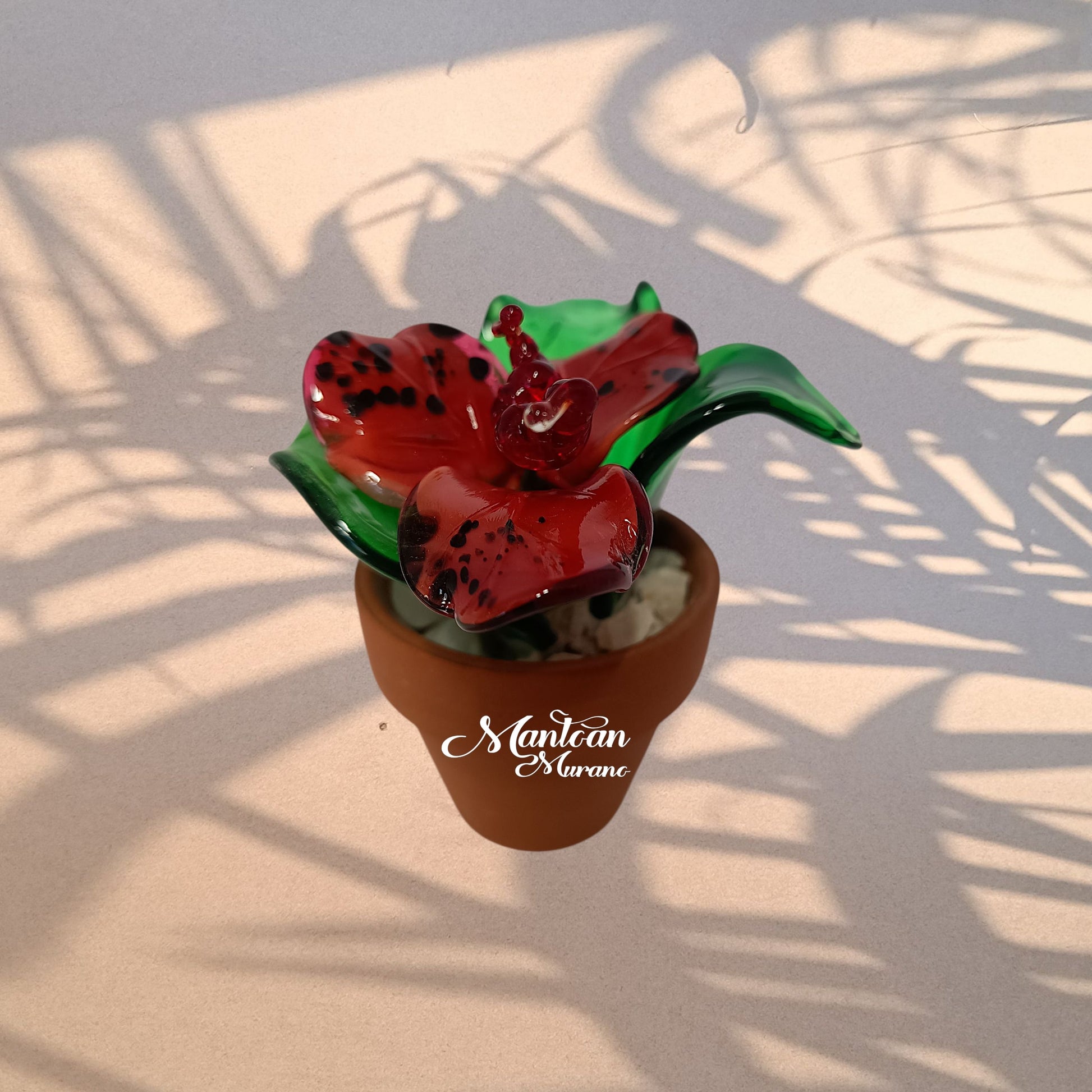 Fuxia – Piantina tropicale in vetro di Murano - MantoanMurano