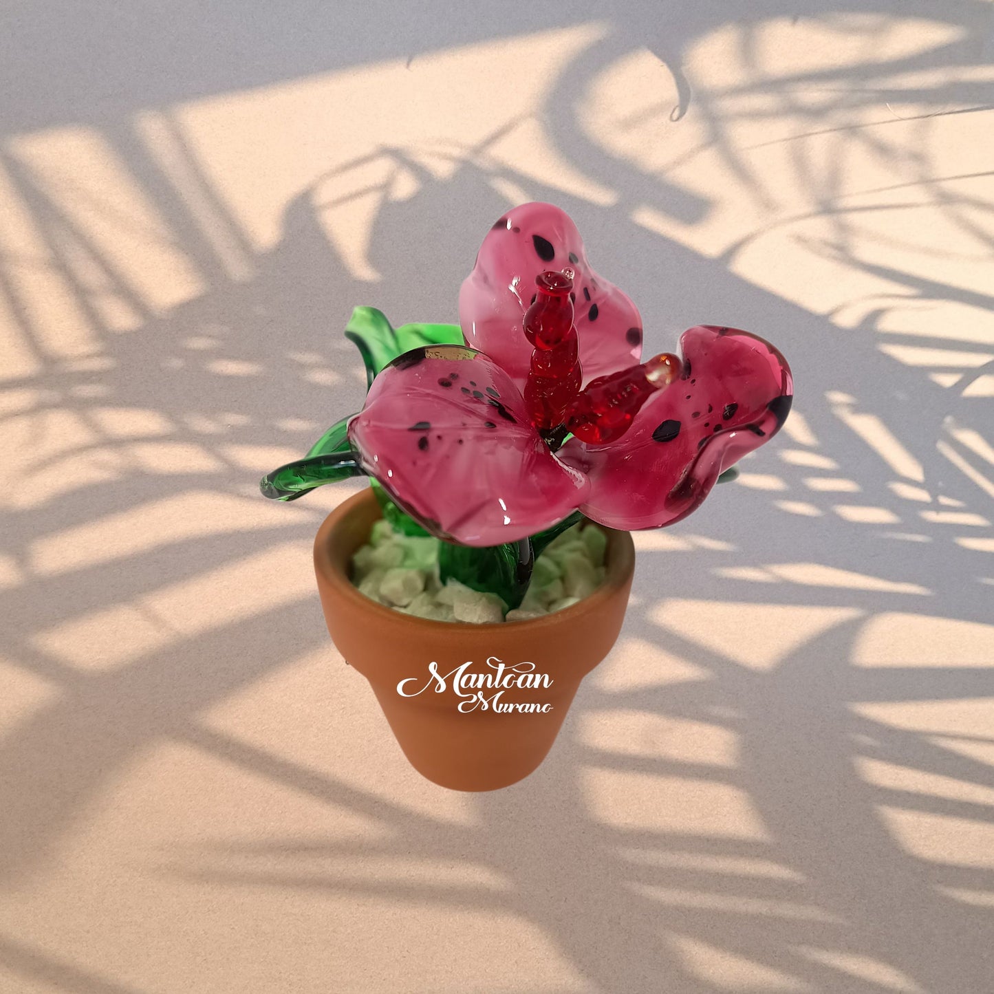 Fuxia – Piantina tropicale in vetro di Murano - MantoanMurano
