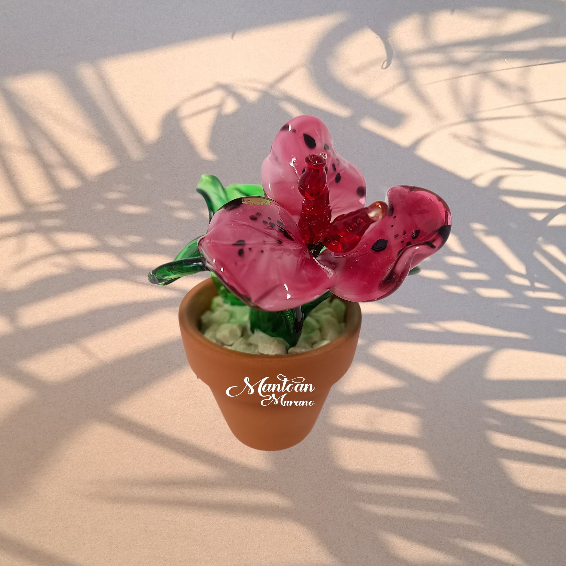 Fuxia – Piantina tropicale in vetro di Murano - MantoanMurano