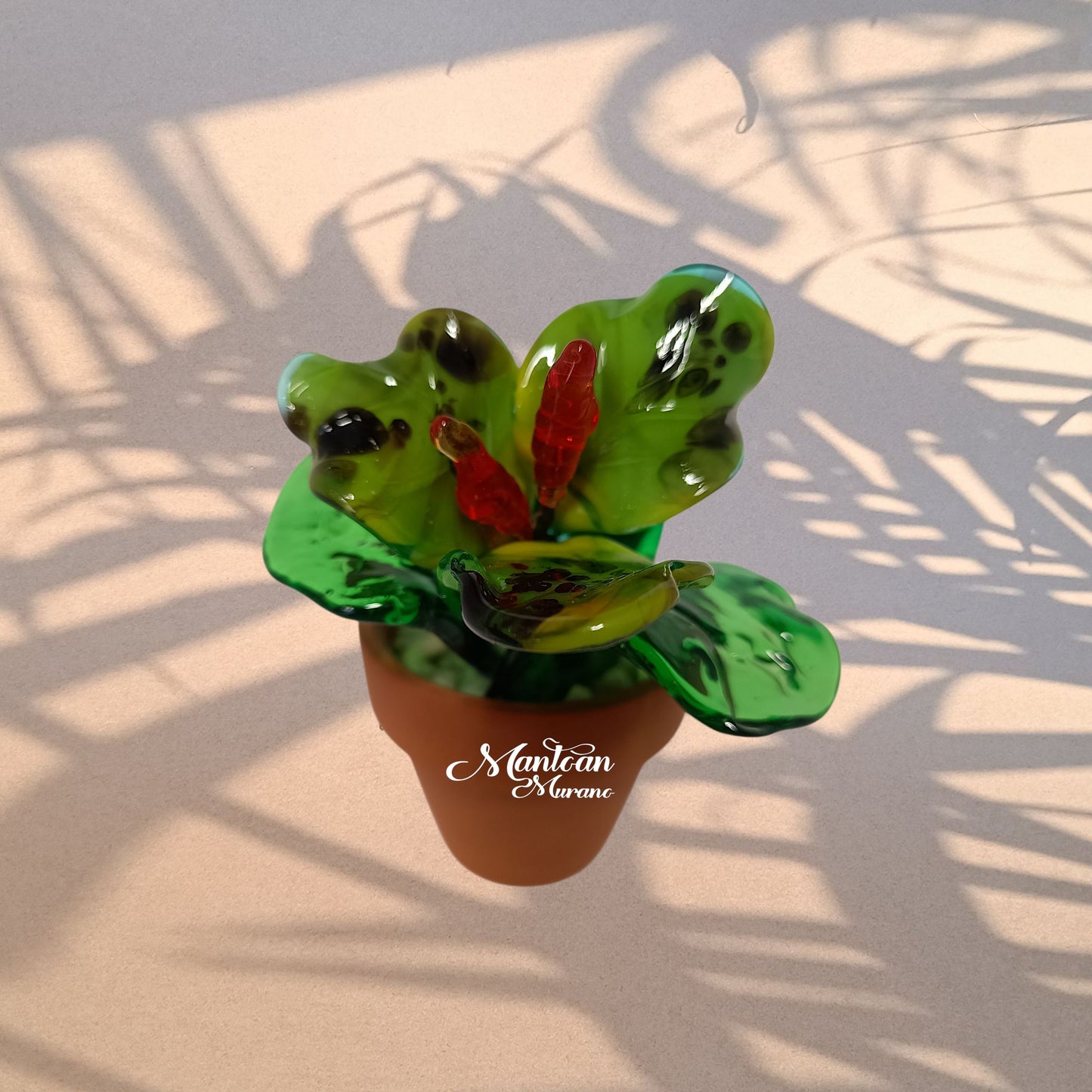 Fuxia – Piantina tropicale in vetro di Murano - MantoanMurano