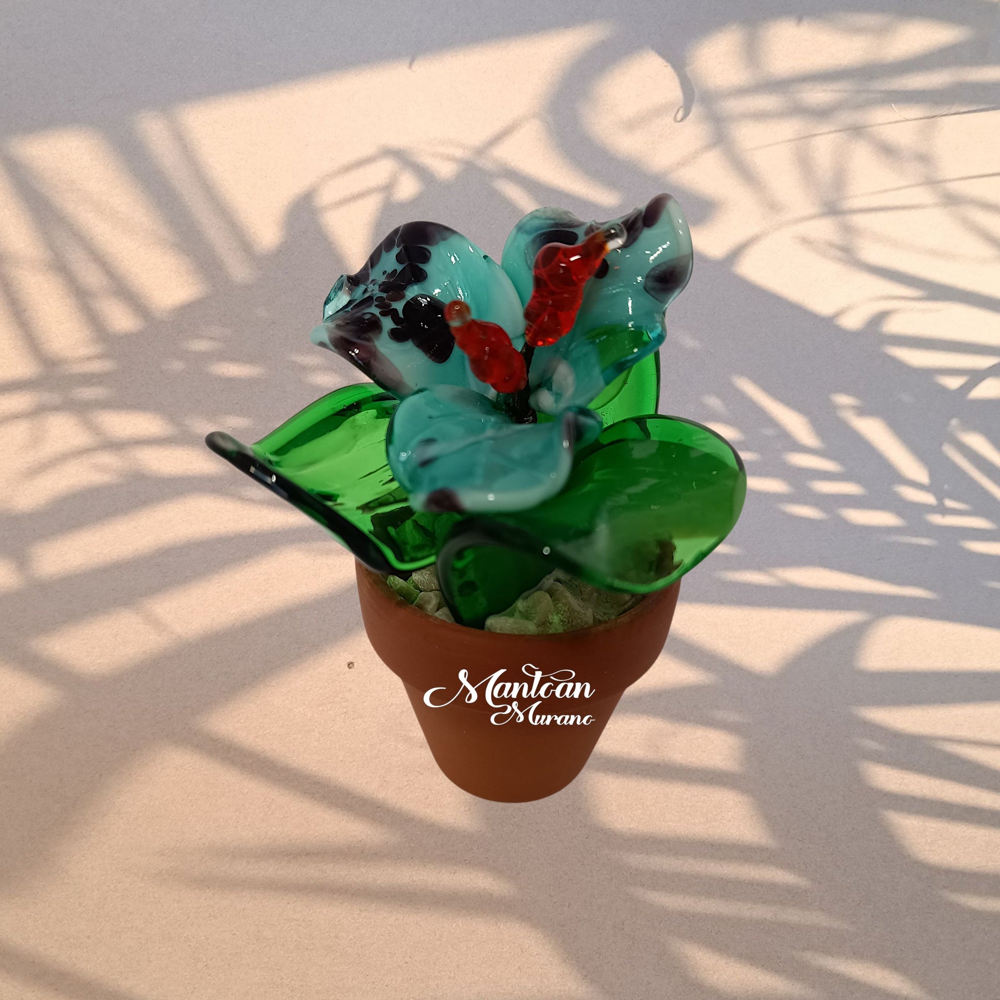 Fuxia – Piantina tropicale in vetro di Murano - MantoanMurano