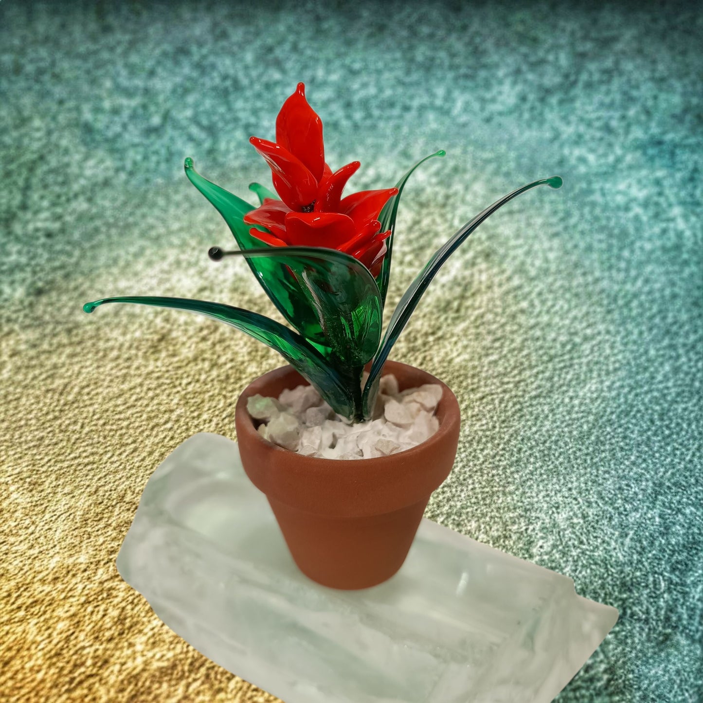 Piantina di Guzmania in vetro di Murano - MantoanMurano