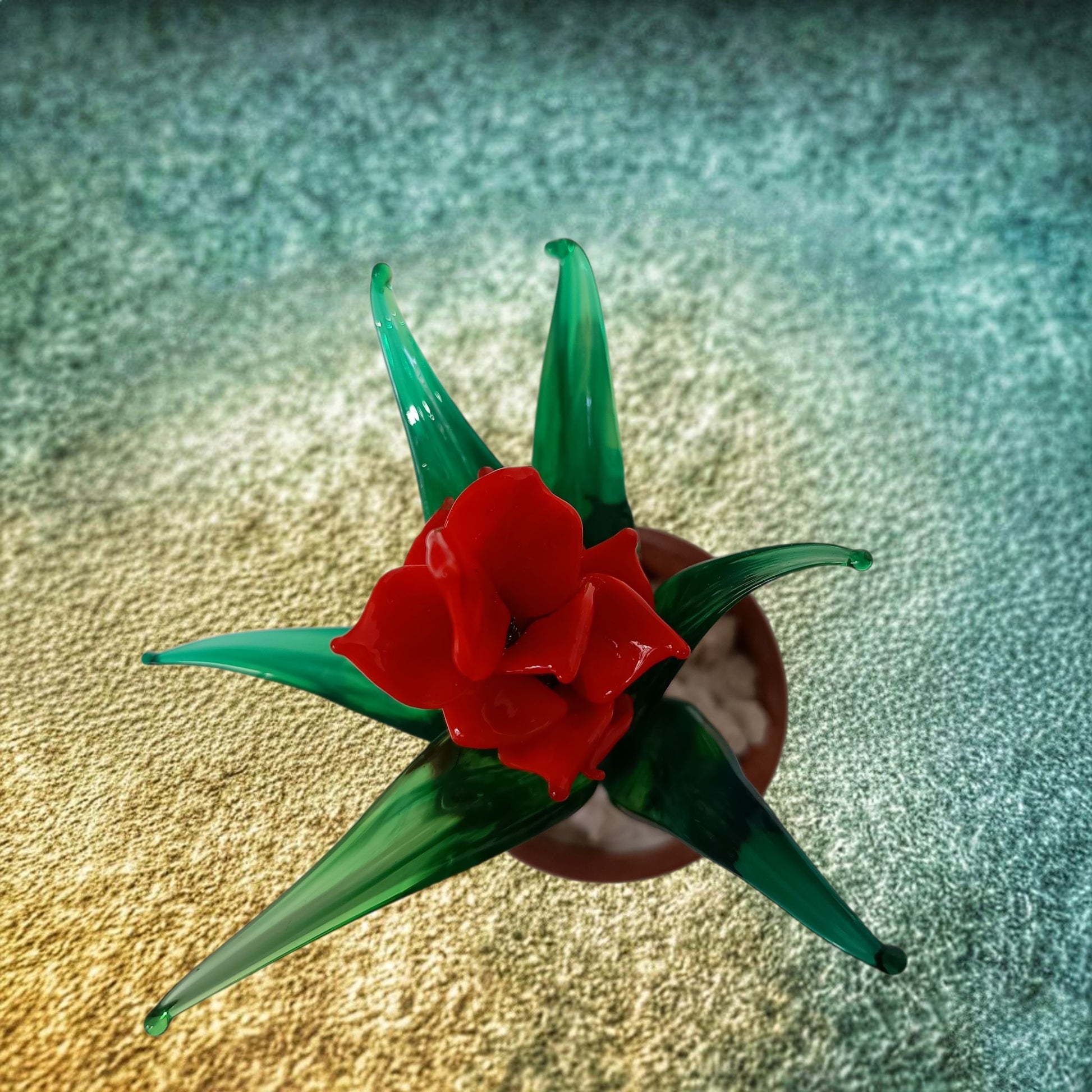 Piantina di Guzmania in vetro di Murano - MantoanMurano