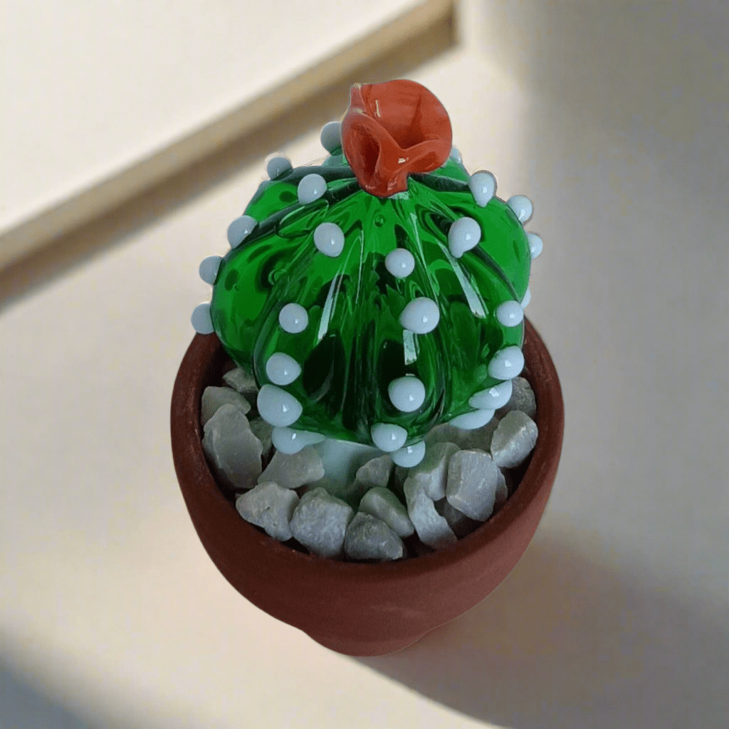 Notocactus - MantoanMurano