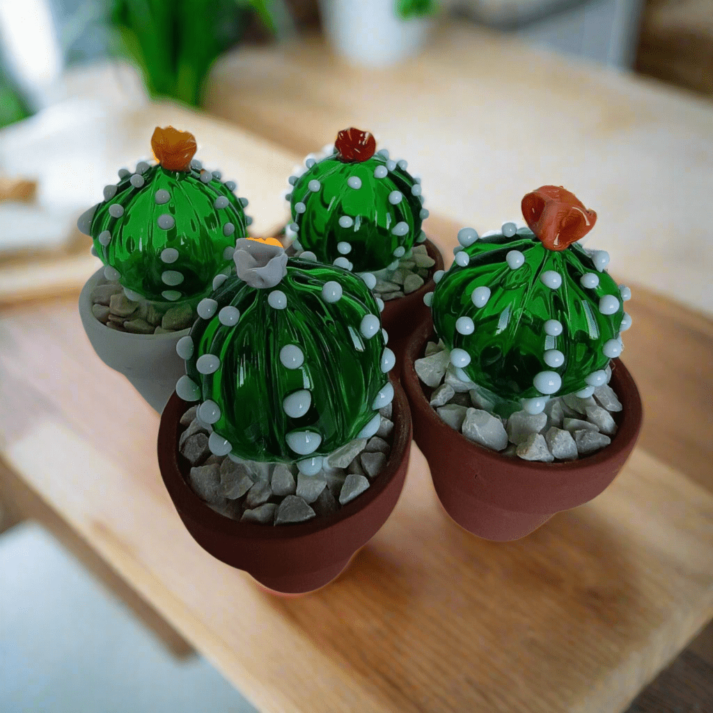 Notocactus - MantoanMurano