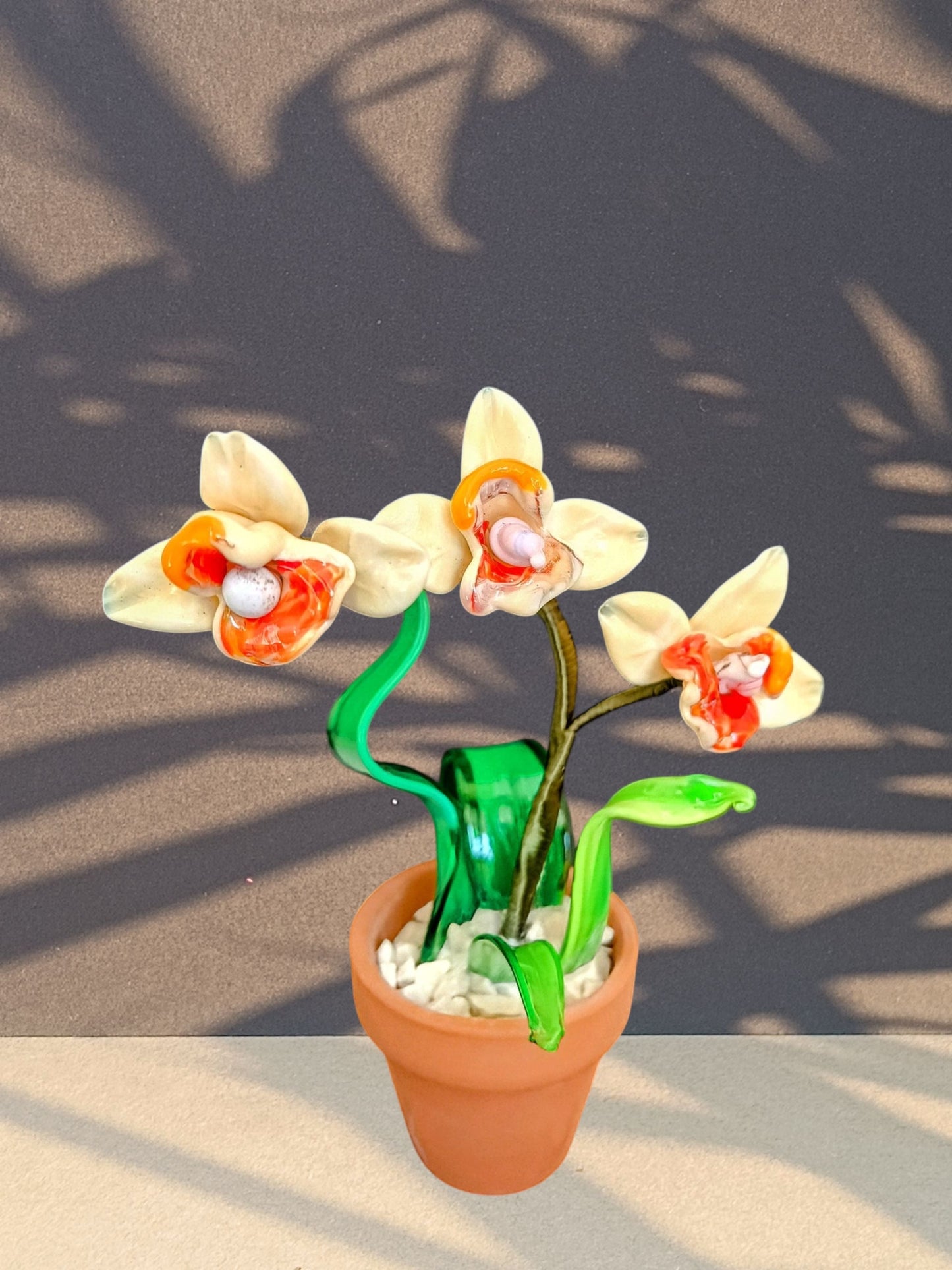 Orchidea - MantoanMurano