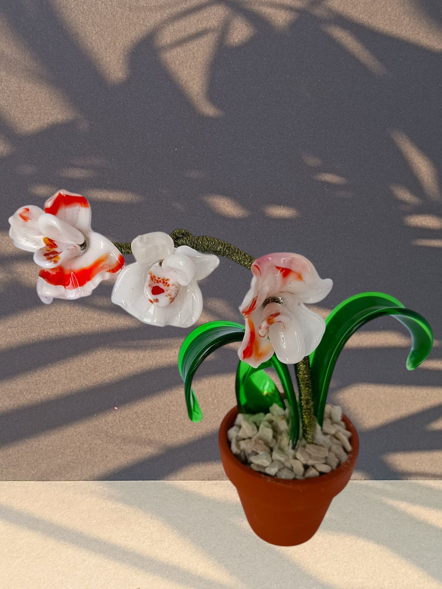 Orchidea - MantoanMurano
