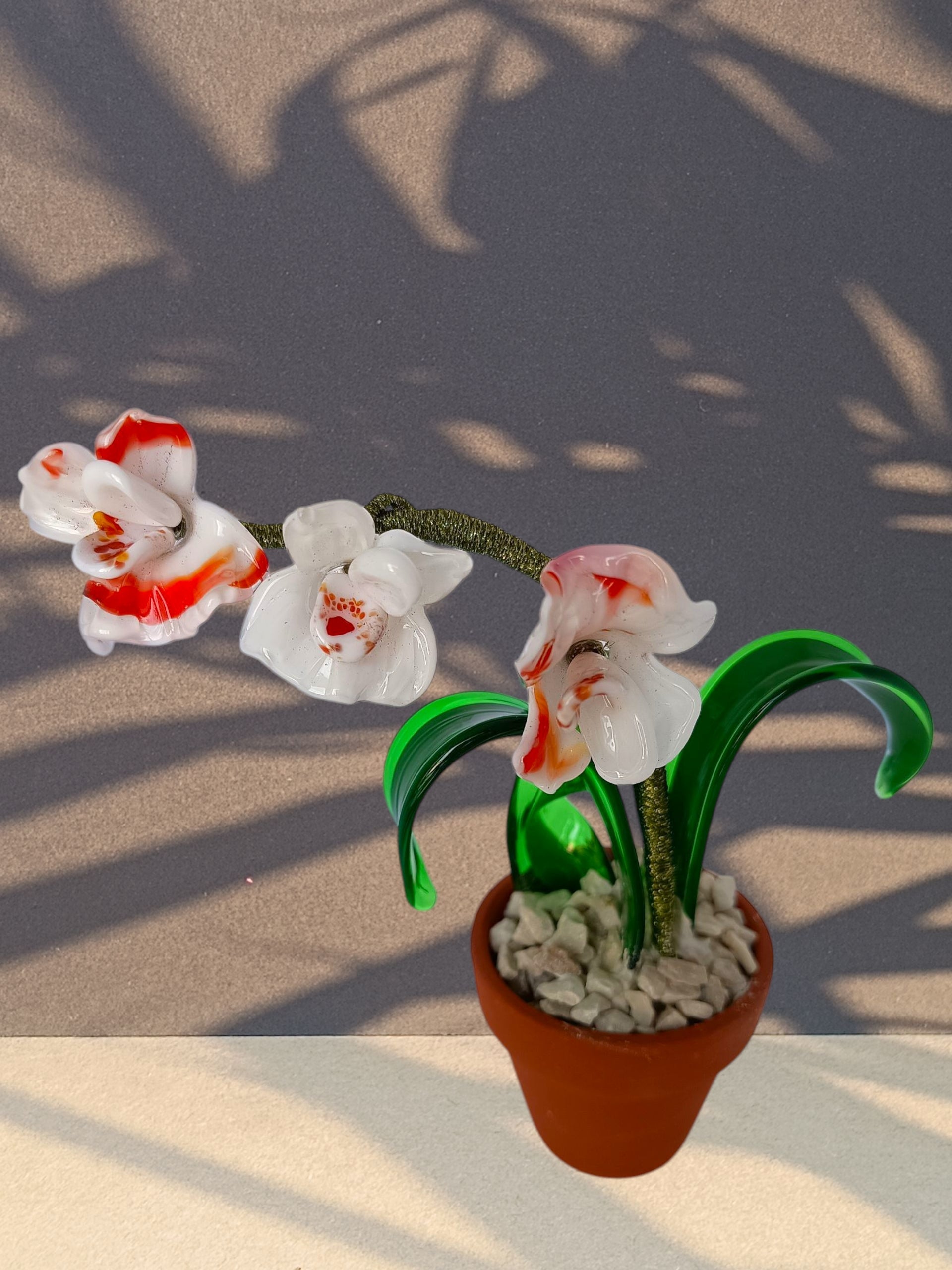Orchidea - MantoanMurano