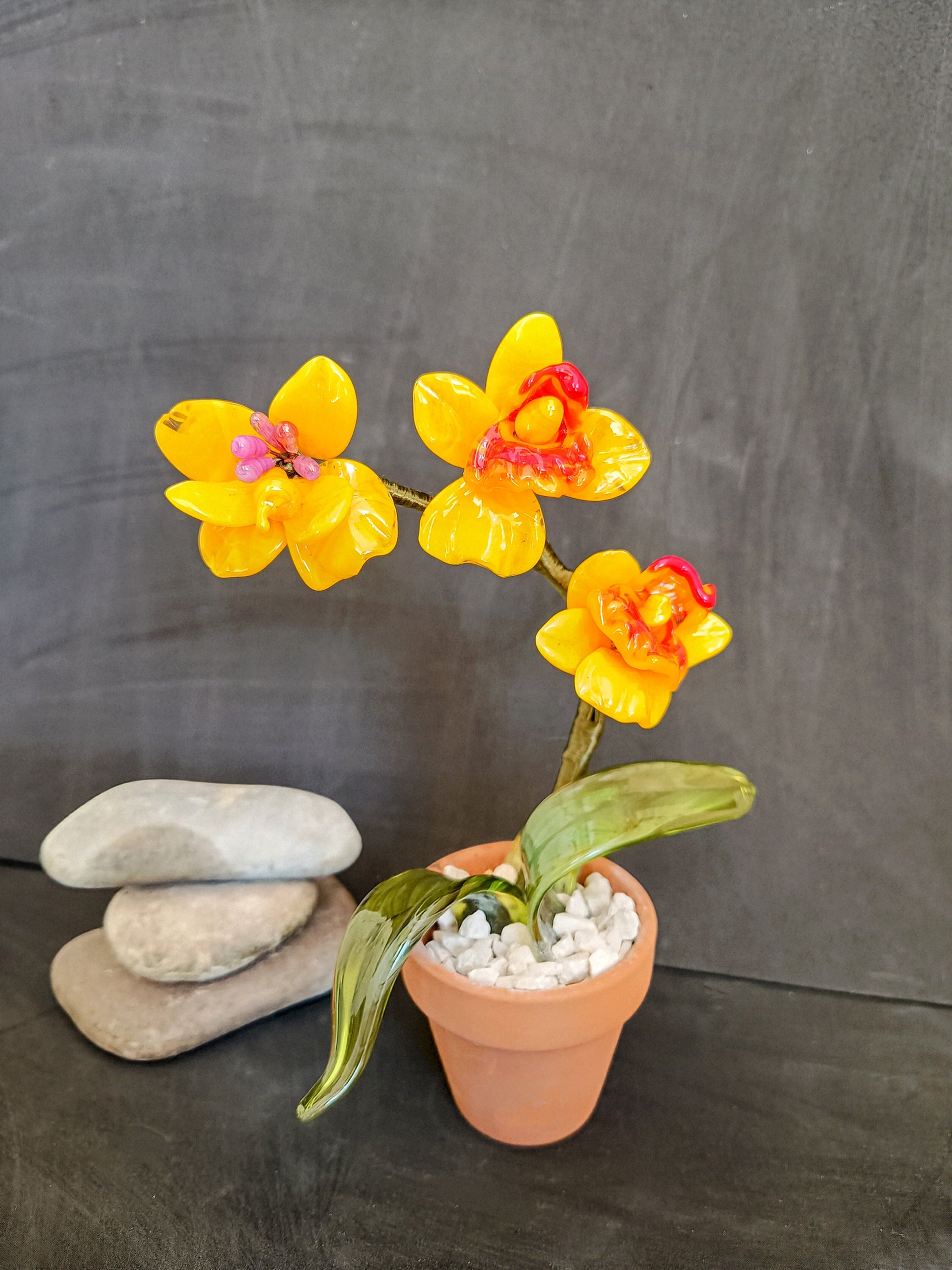 Orchidea - MantoanMurano
