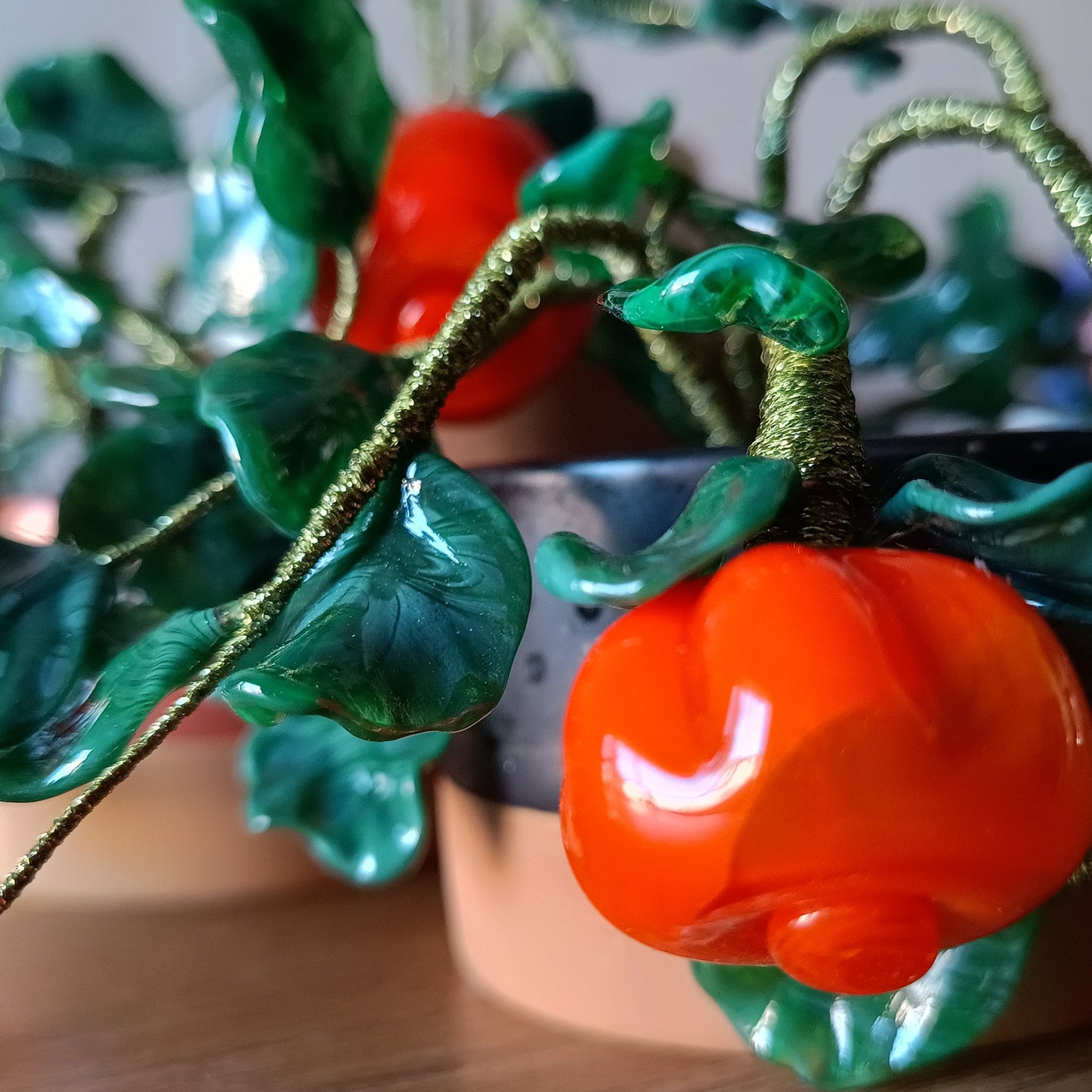 Piantina di zucca - MantoanMurano