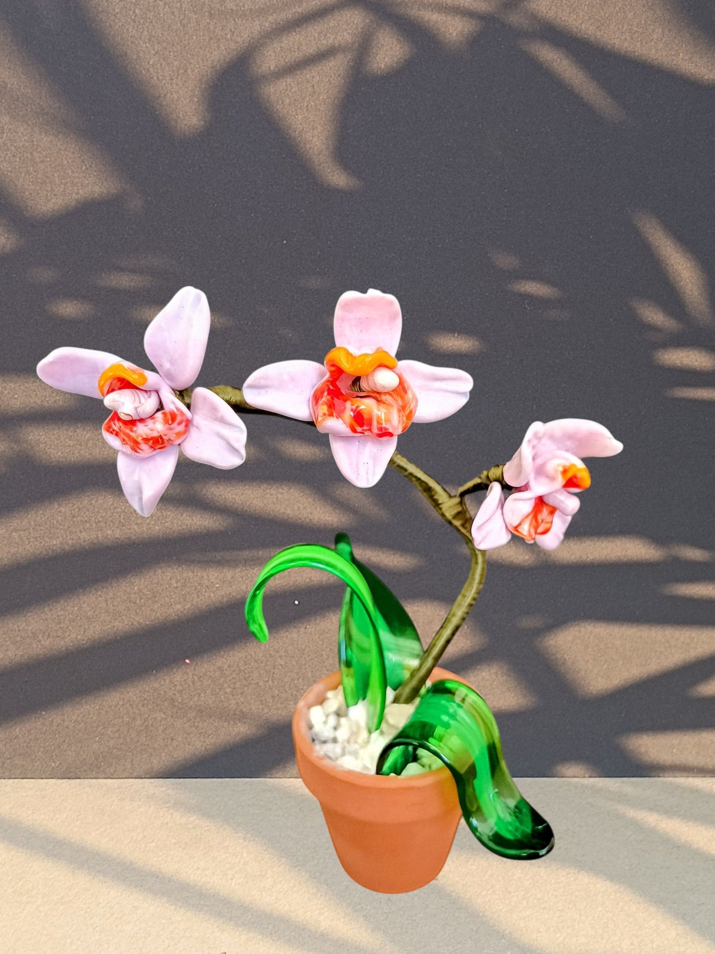 Orchidea