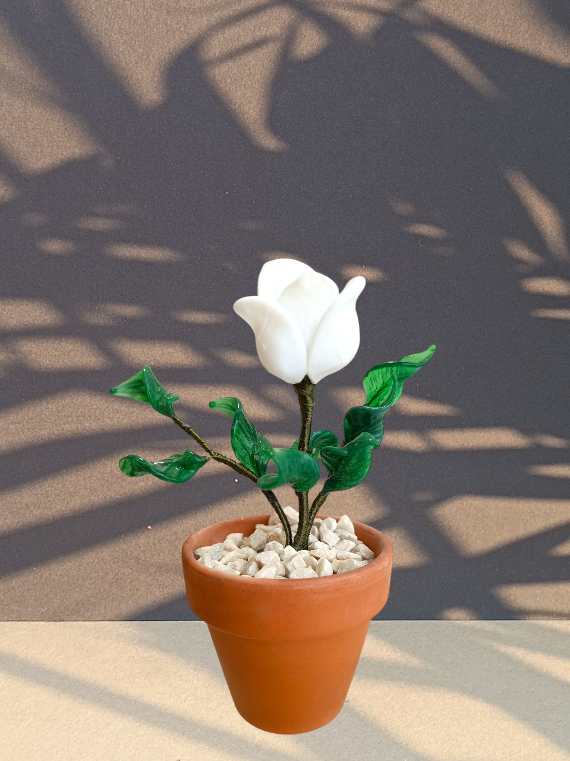 Rosa un bocciolo - MantoanMurano